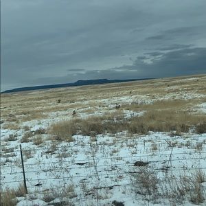 Meet your Posher, Ava